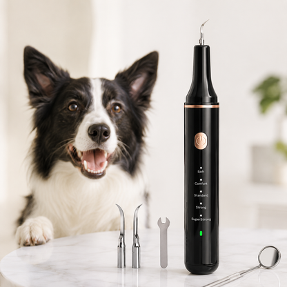 Ultrasonic Dog Dental Cleaner
