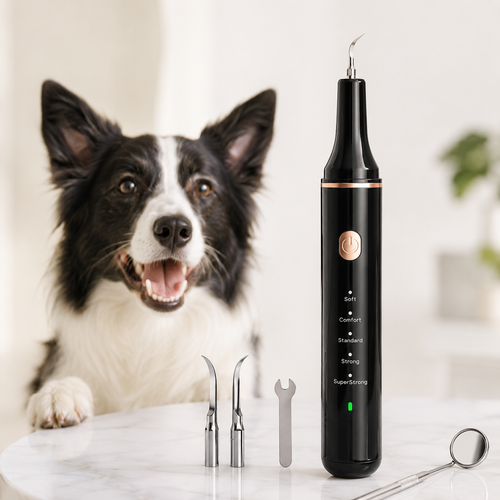Ultrasonic Dog Dental Cleaner