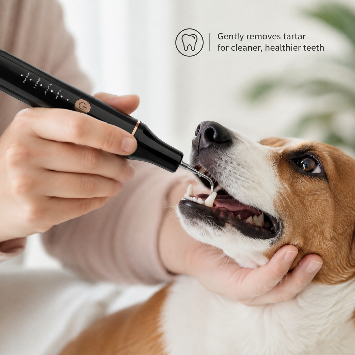 Ultrasonic Dog Dental Cleaner