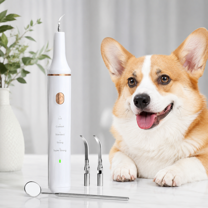 Ultrasonic Dog Dental Cleaner