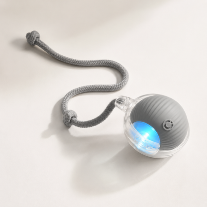 Electric Bite Resistant Dog Ball