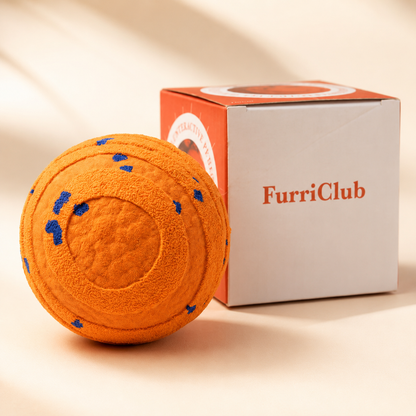 Electric Bite Resistant Dog Ball